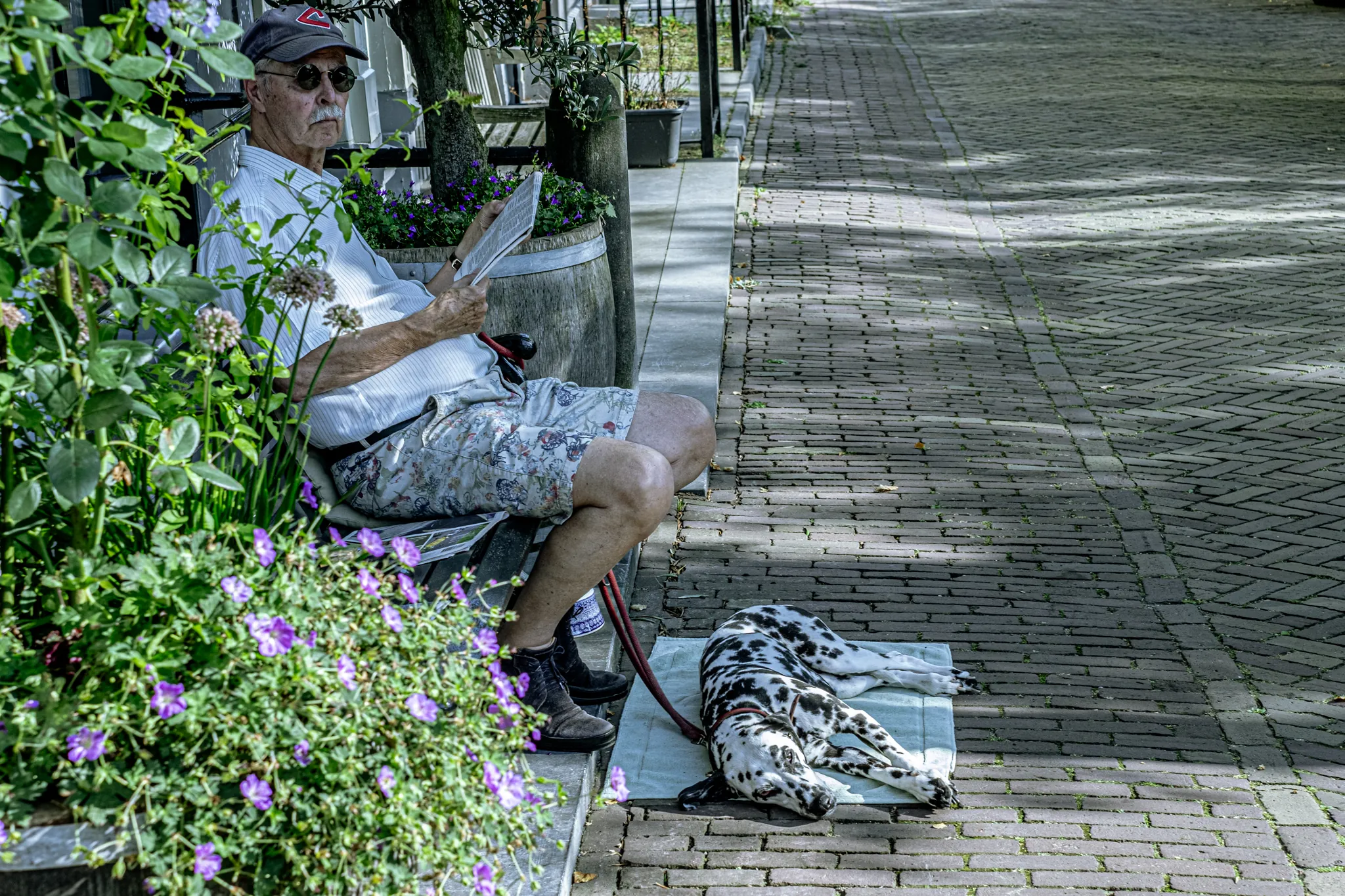 Street photography in the Netherlands Delft of a man with a dog on a blanket.